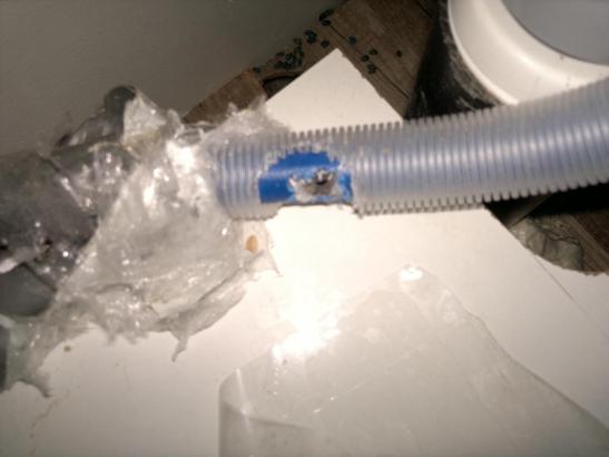 Rottegnag på vannledning