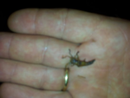 20140130_175408.jpg image